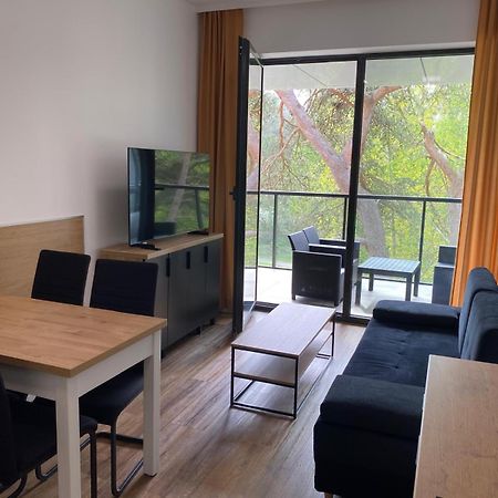 רוגובו Apartament Dorka מראה חיצוני תמונה